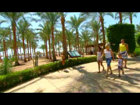 Dessole Seti Sharm Resort (in Russian)