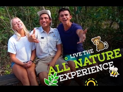 The Sandos Caracol Life - The All Nature Vlog