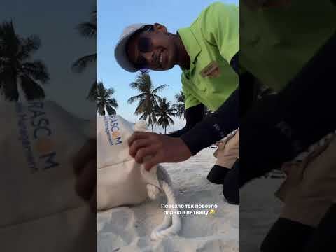 Hotel videos Barcelo Mussanah Resort 4*