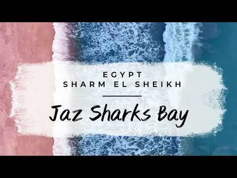 JAZ SHARKS BAY