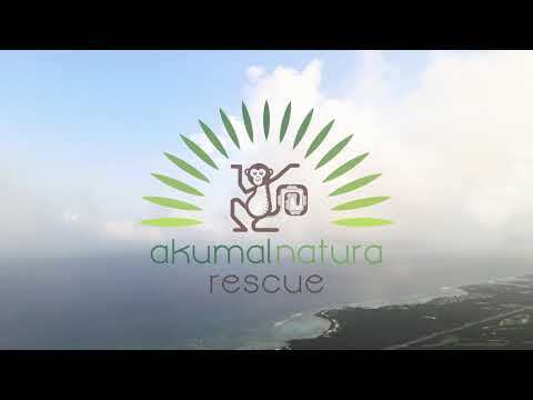Akumal Natura Rescue