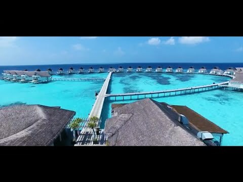 Видео об обновленном Centara Grand Island Resort&amp;Spa