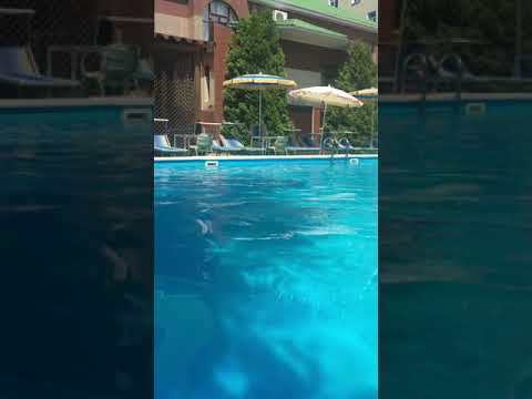 Открытый бассейн отеля Кипарис (Ольгинка) +7-988-24-001-42 - бронируй в июле выгодно!
